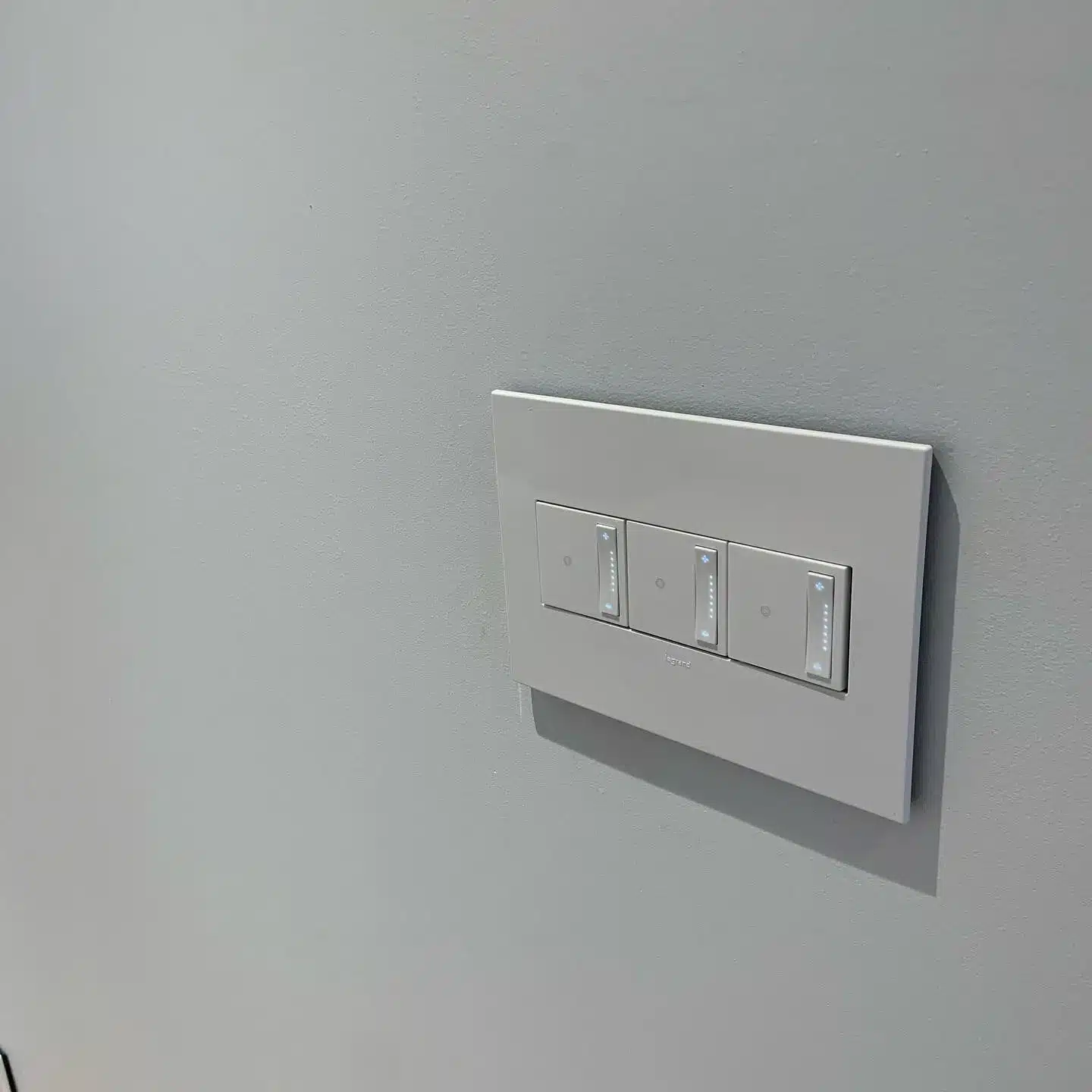 20210318_020307545_iOS.2407190659550